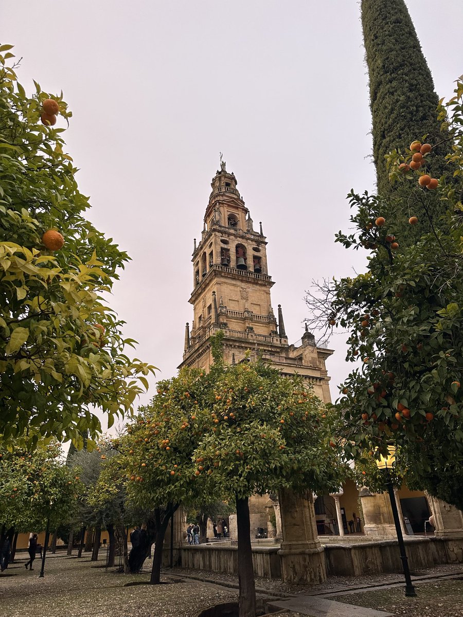 A veces, la belleza más profunda no grita sino que susurra en las esquinas olvidadas. Córdoba nos enseña que para ver de verdad, hay que detenerse y encontrar la magia en el silencio de un callejón vacío. ¿Cuándo fue la última vez que te perdiste a propósito? 

#Córdoba