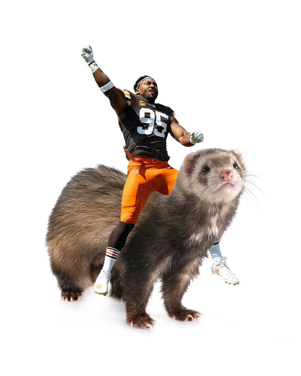 Cleveland Browns tweet media