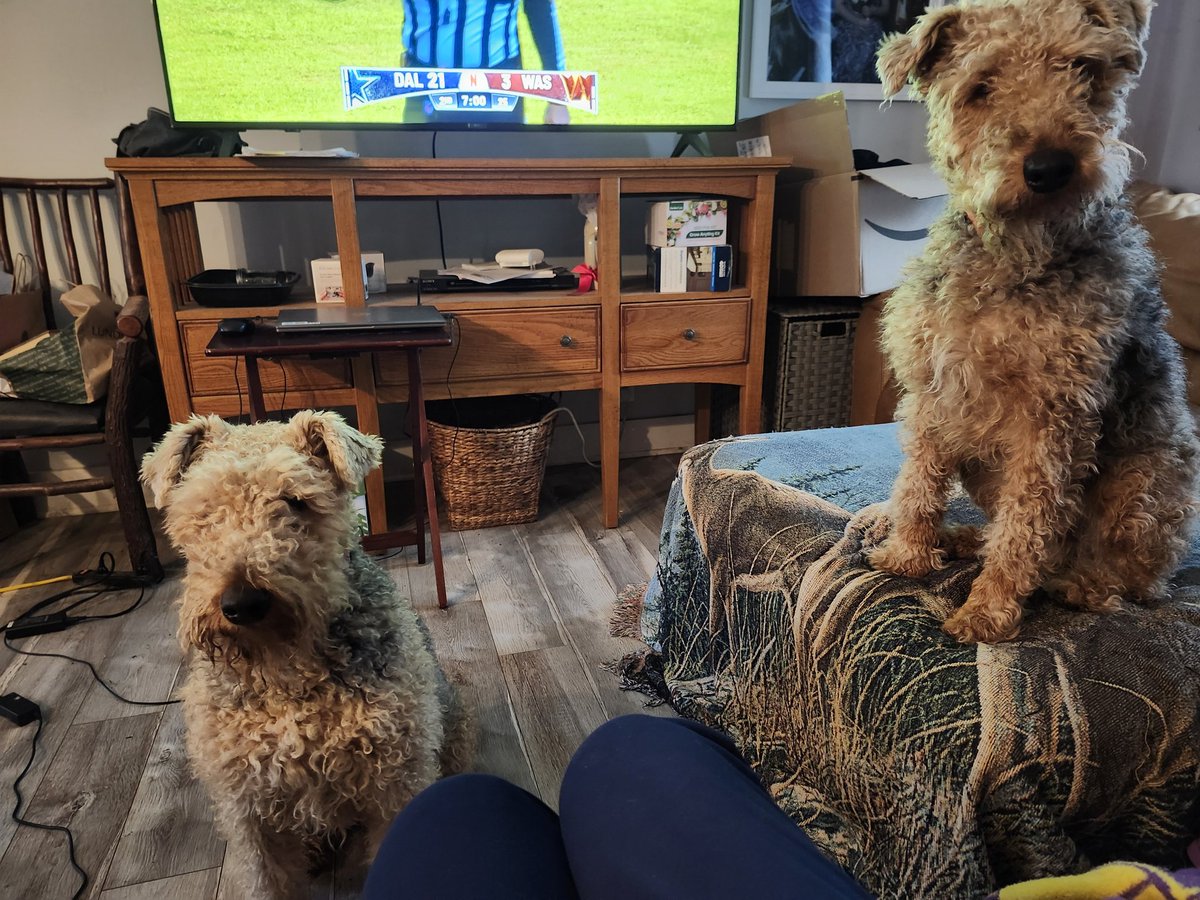 Jolene and Oliver wish everyone a merry Christmas 🎅 and a happy new year with more treats for them