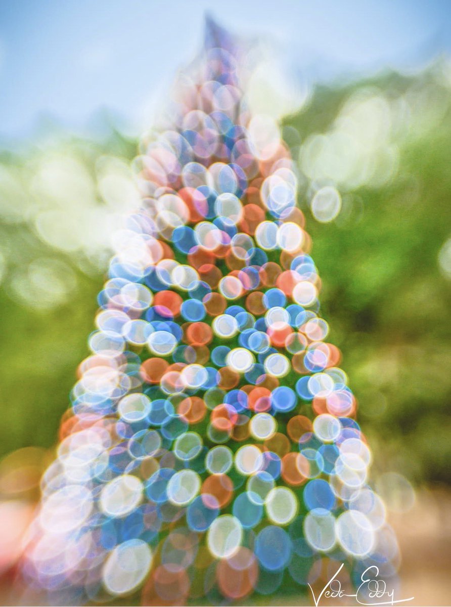 sheclicksnet's tweet photo. The fifth of our #festivefive featured images today is this eye-catching image of a Christmas tree by Instagrammer vedaeddyphotography
https://t.co/vzJzcn5ITD
#sheclicksnet #femalephotographers #womenphotographerscommunity #photography https://t.co/l6PkPlF6CF