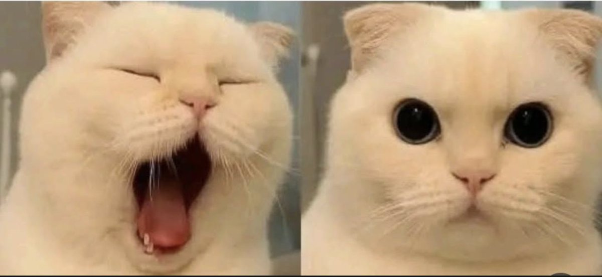Meetjain_100's tweet photo. Pushing code to @github vs watching the CI pipeline run.💀
#DevLife #GitHub #TechHumor #CodingLife #DeveloperProblems https://t.co/rFSg3Q6FMo