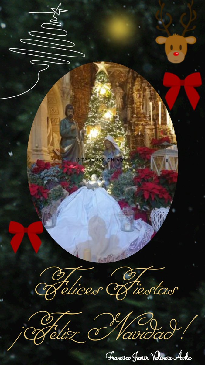 ¡Feliz Navidad!!🌲