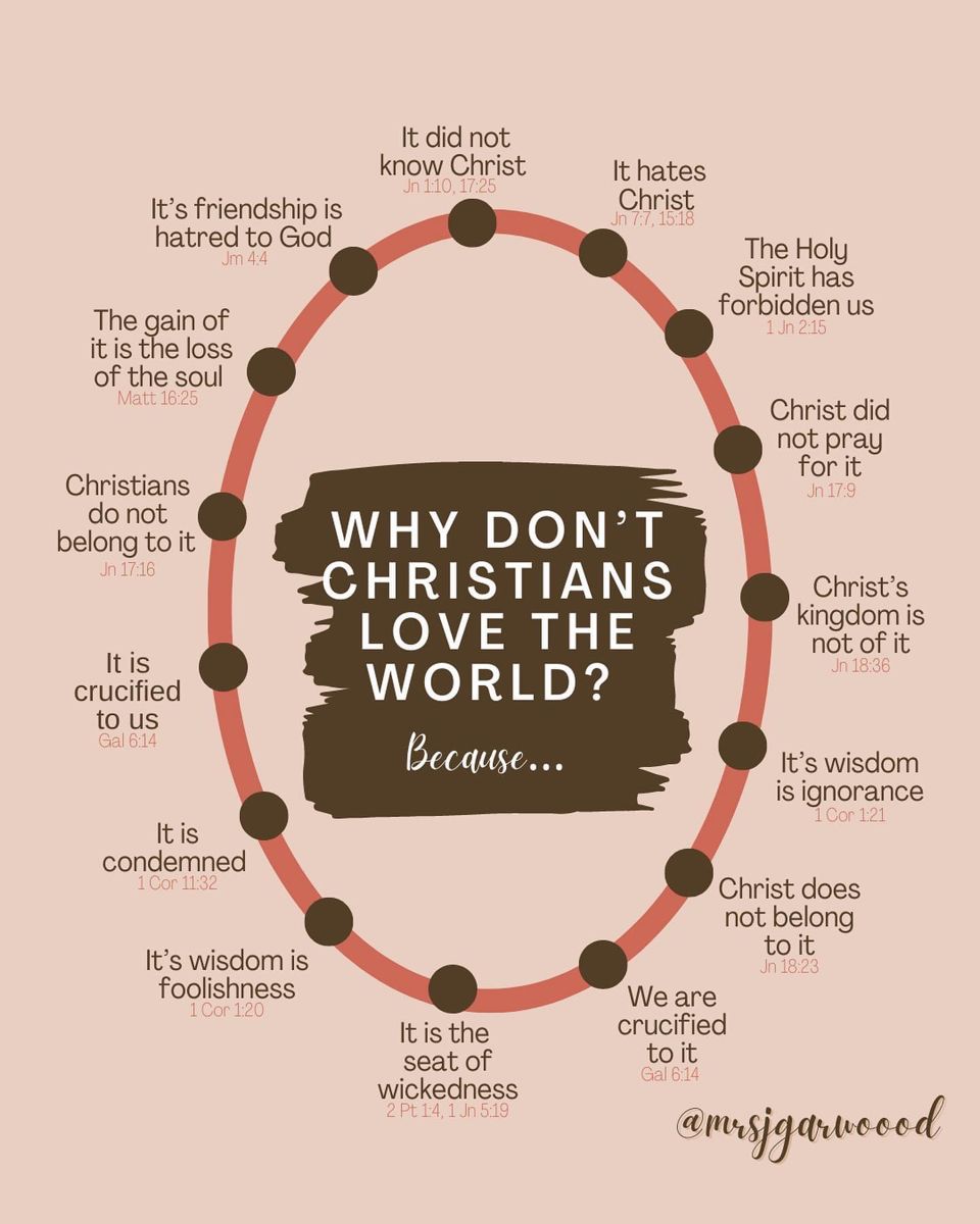 Josh Barzon tweet media