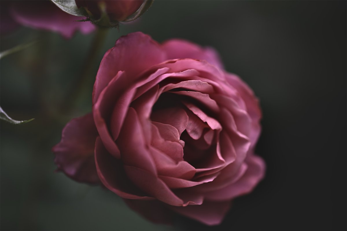 Yuzumi様確認用です。 8.0) ブレス・ユア・ブレス [EXPERT 8] (譜面確認) [CHUNITHM