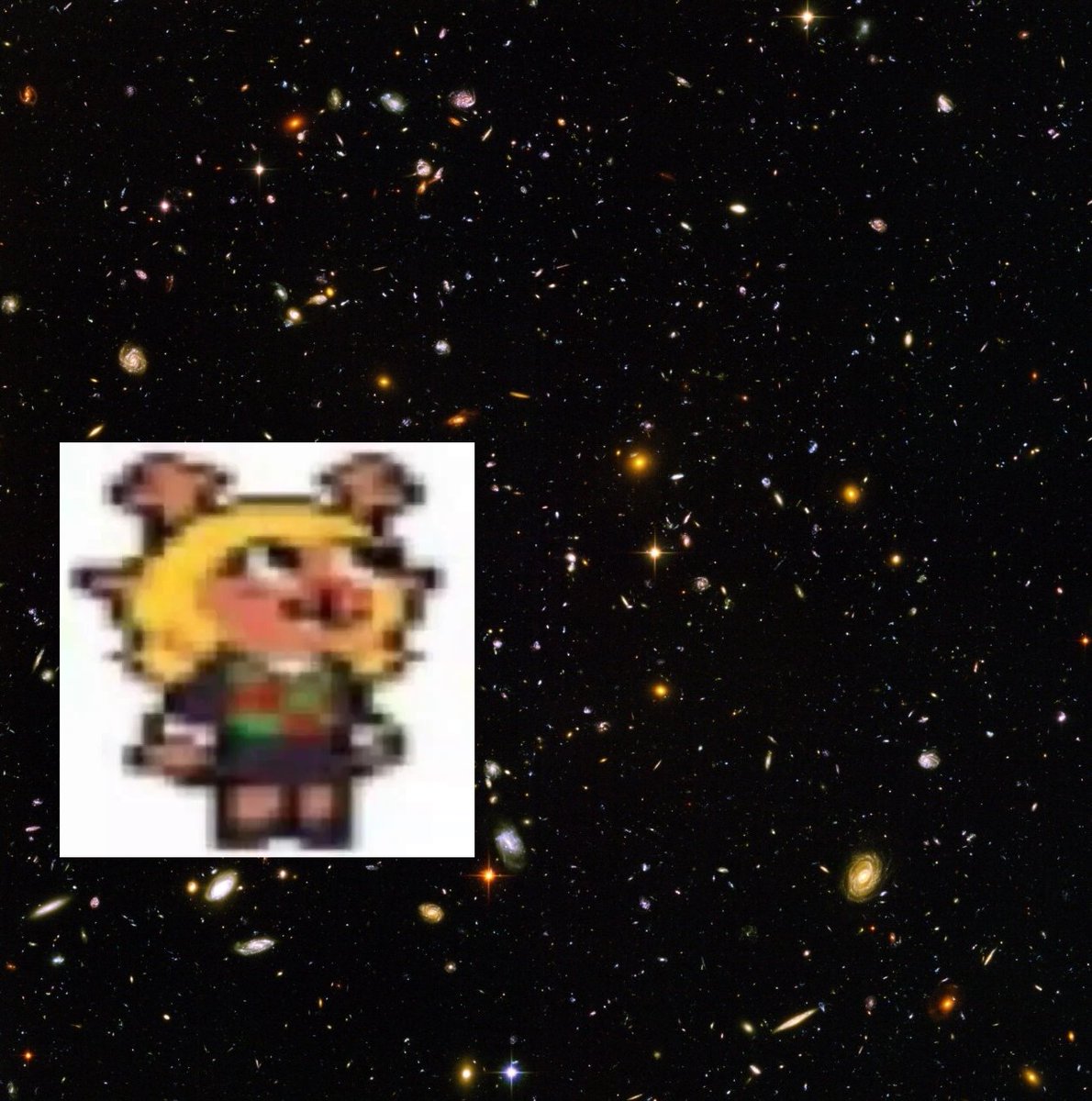 Tesseron (@tesseron_) on Twitter photo 