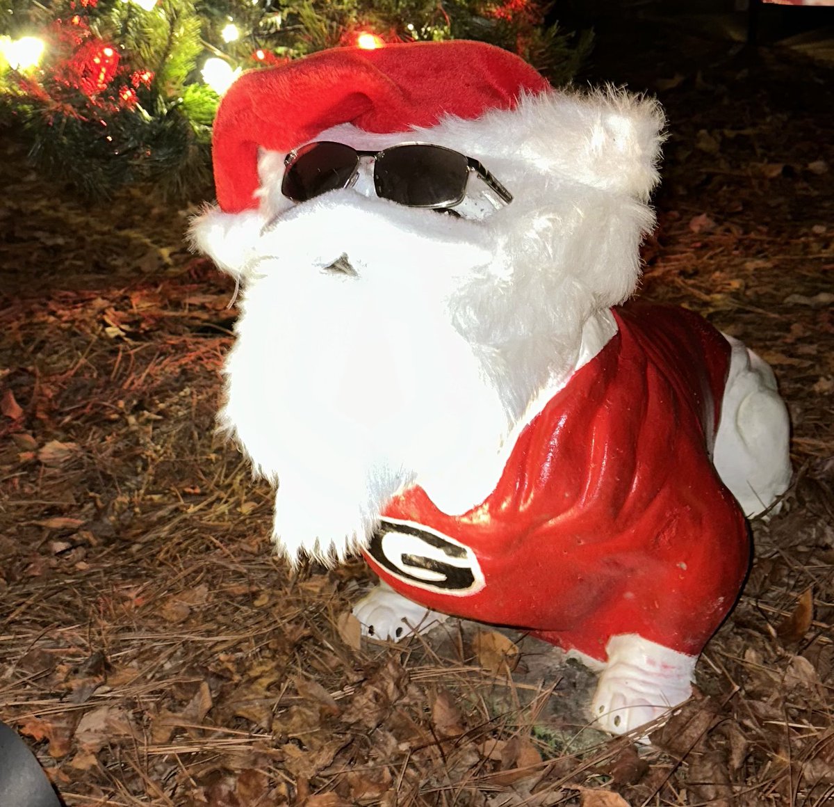 RoweDawg11's tweet photo. @ally32250 Merry Christmas! Love the pic! https://t.co/49ZkxiOWU1