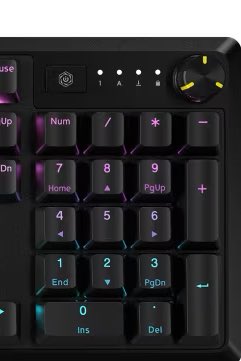 Designated Kitty tweet media