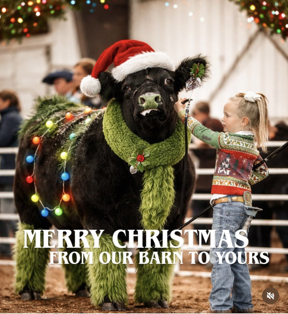mattlautner's tweet photo. https://t.co/nBv2p6a9FP