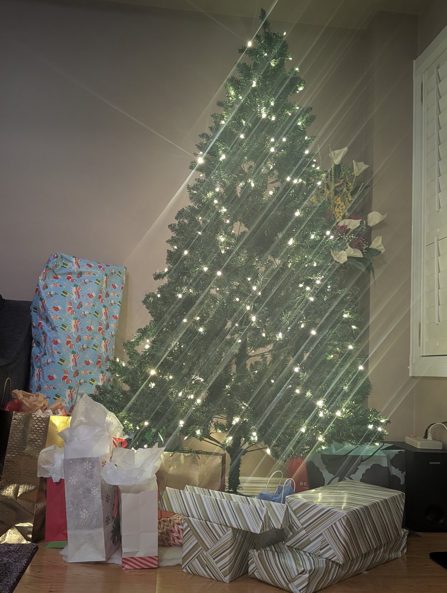 ankskumar1's tweet image. It has been far too long, since I felt a particular joy during #ChristmasDay.

This year was great, in many ways; And, it was easier to celebrate this fun occasion.

#MerryChristmas to everyone, with best wishes for peace and fulfillment in this holiday season!

#JoyeuxNoël