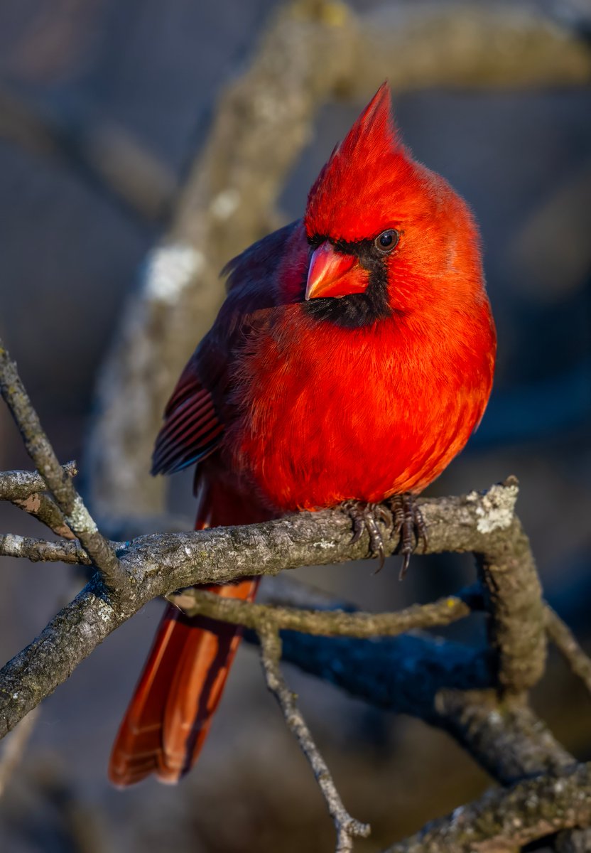 Jocelyn Anderson Photography tweet media