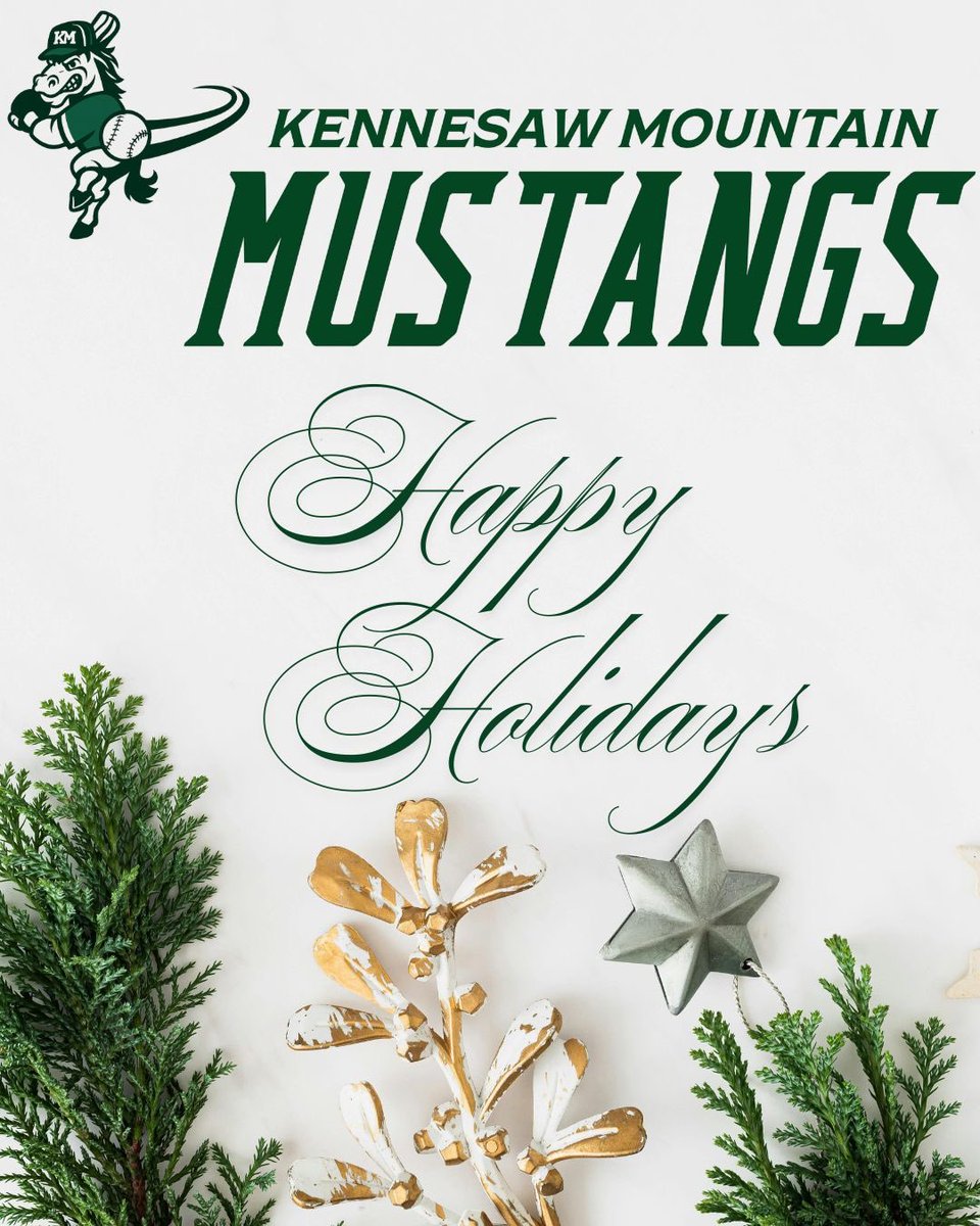 Kennesaw Mountain Mustang Baseball tweet media