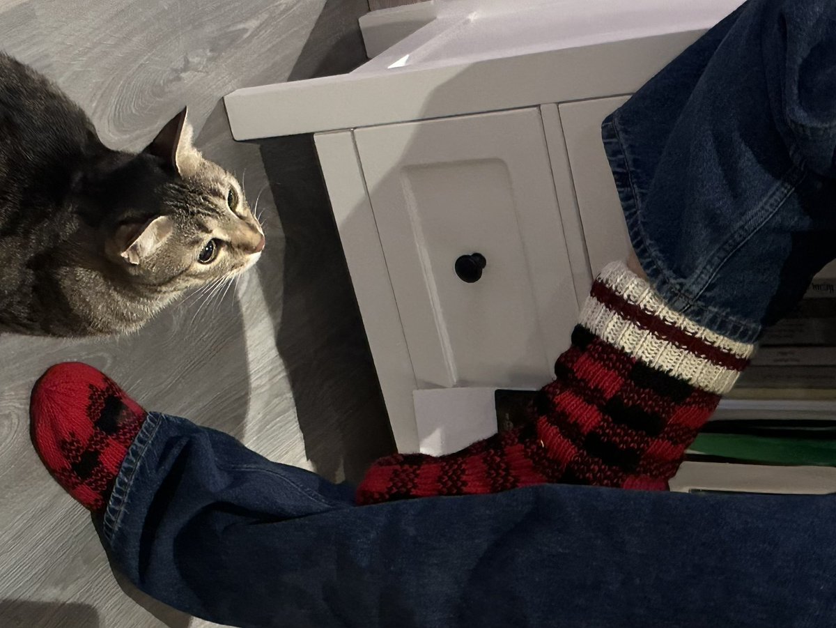 catempath's tweet image. i go back to december all the time