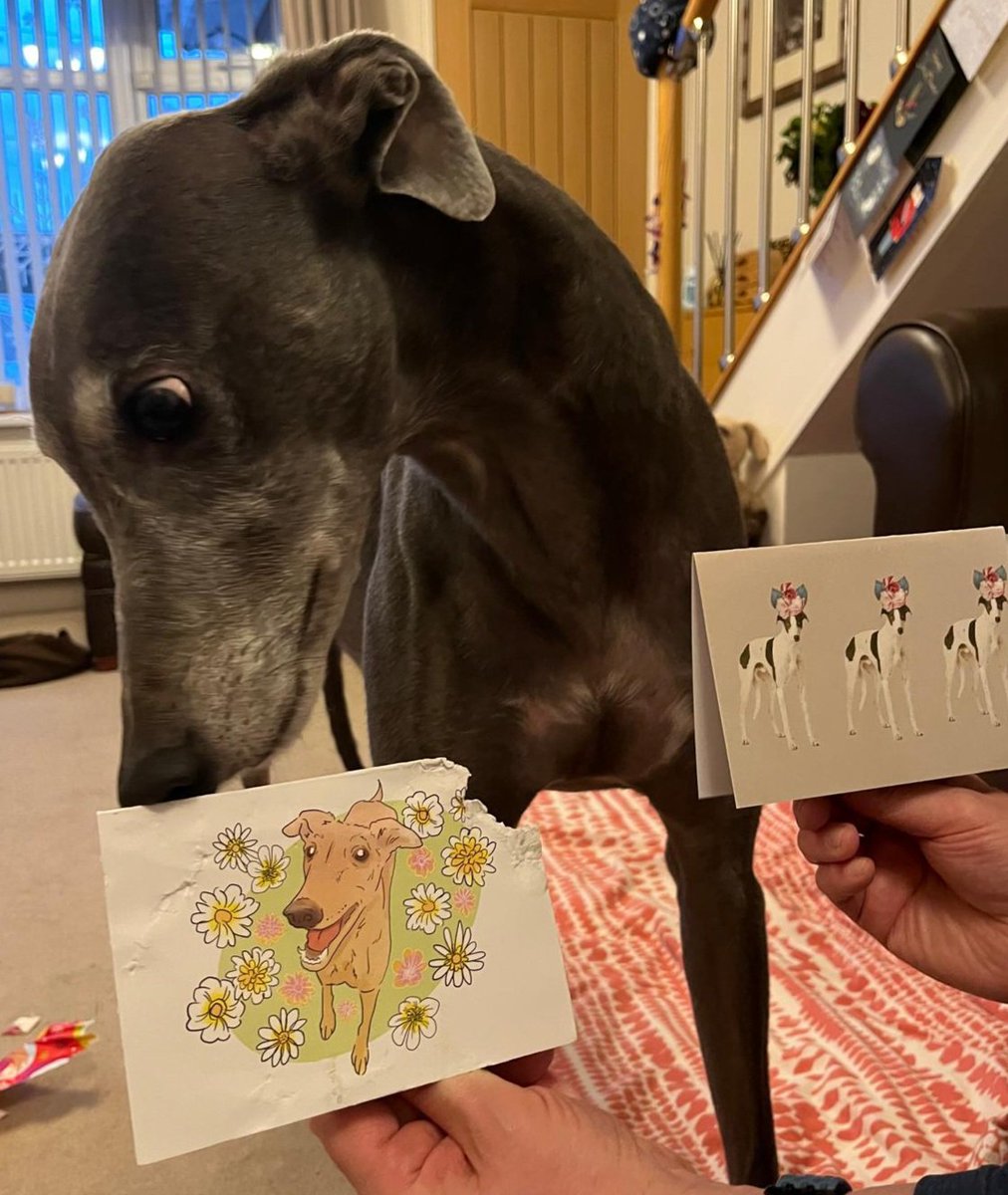 Blue Nial 💙 | 🌈 Diamond Jet 💎 tweet media