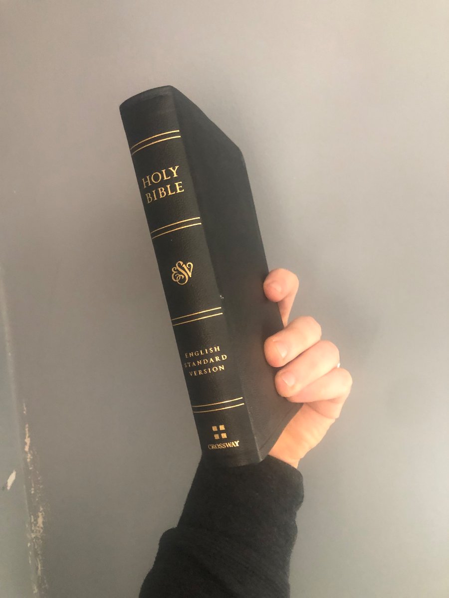 Nathan Zekveld tweet media