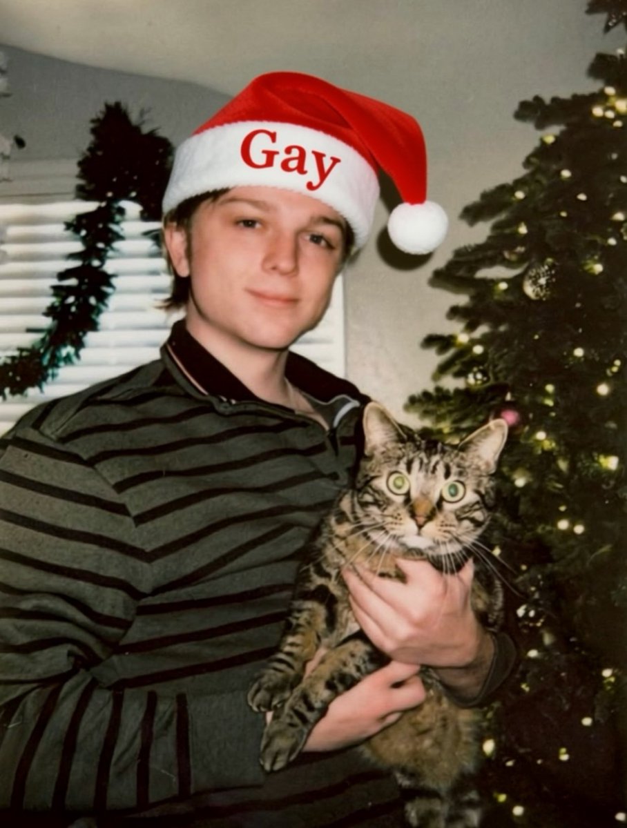 Gizmo Memes tweet media