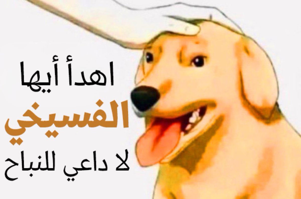 Omar tweet media