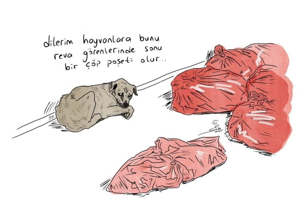 Yeter artık!
Bu bir soykırımdır!
Türkiye'de soykırım var!
SOYKIRIMI DURDURUN! #AnkaradaKatliamVar