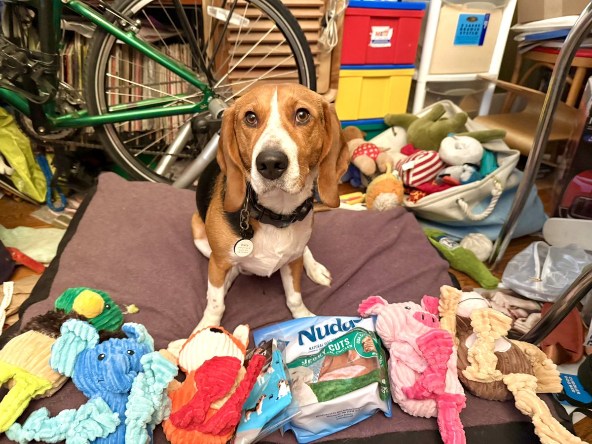 CPL Bixby, ZSHQ 🛵 tweet media