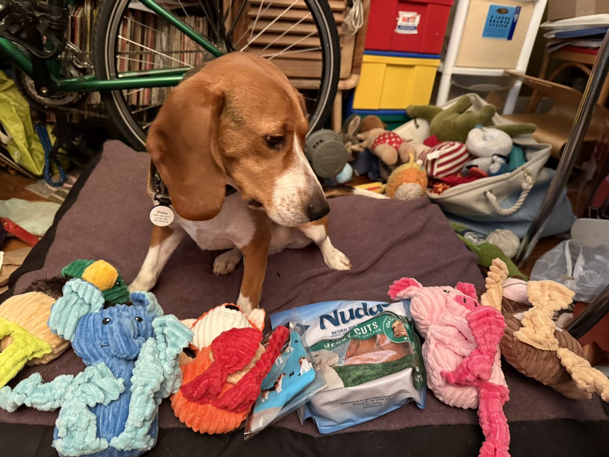 CPL Bixby, ZSHQ 🛵 tweet media