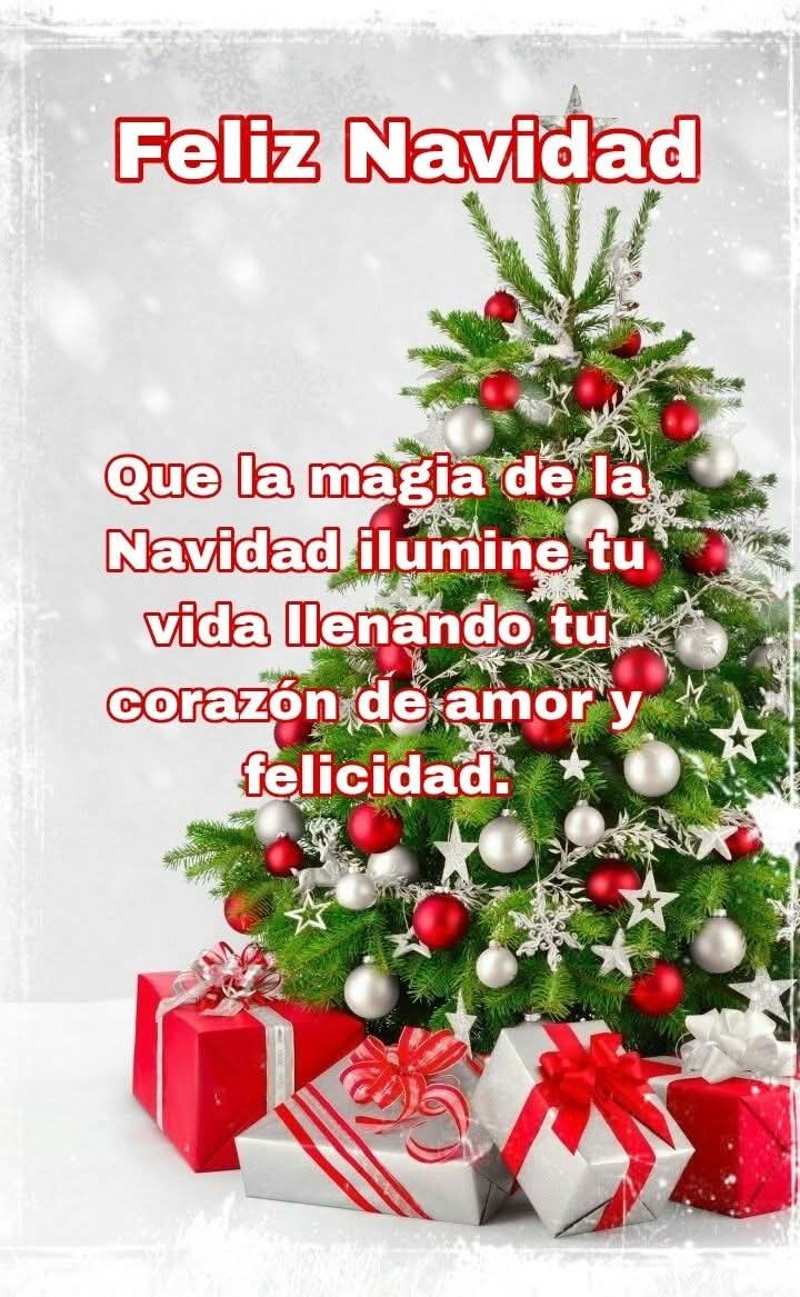 <a href="/ElsaCasP/">Elsa Castillo</a> Feliz navidad para ti y tu familia bendiciones 🙏 
🧑‍🎄🎁🎄🎀⛄🍭🥳🍒🥂🍾❄️✨💖🎉🍀🫶🌹
Abrazos 🫂❤️ 
<a href="/ElsaCasP/">Elsa Castillo</a>