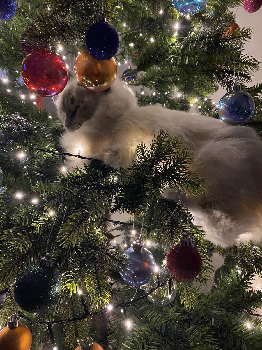 Paul Donlin-Asp 🏳️🌈 tweet media