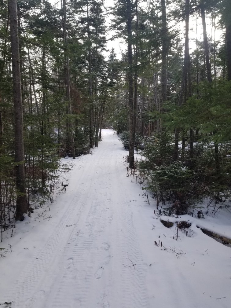 NL, winter, Dec 2025