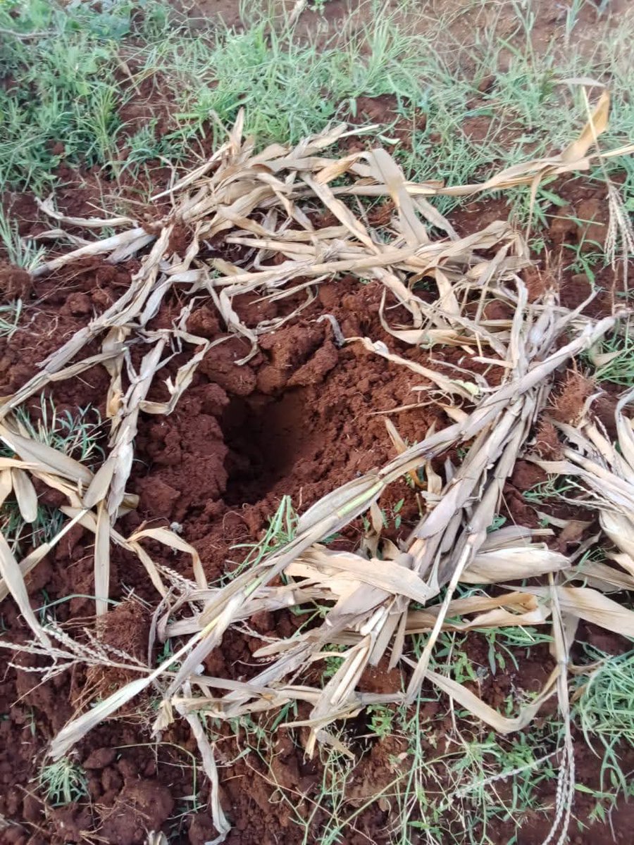 sholard_mancity's tweet image. I’ve received reports from Tana River of a loud bang yesterday, preceeded by a fast-moving burning object seen in the sky.

Residents later identified a landing spot in Wayu Boro Chifiri villages (image below).

At this point, it’s not confirmed whether this is a meteorite or…