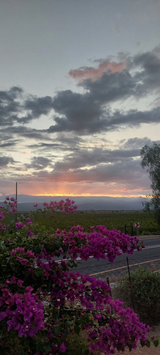Akenid's tweet photo. The end of a beautiful day.  🤍 Good and Bad things all come to an end. Its the lessons learnt that you must remember.  #MerryChristmas2025 #livelovelearn https://t.co/rzXjAN8vIz