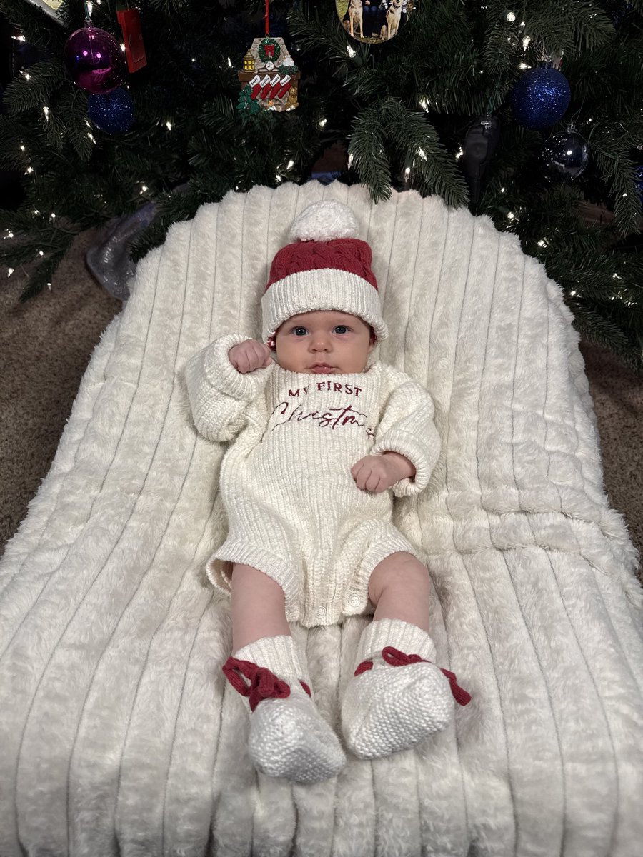 Merry Christmas everyone!

The holidays look a little different around my household.