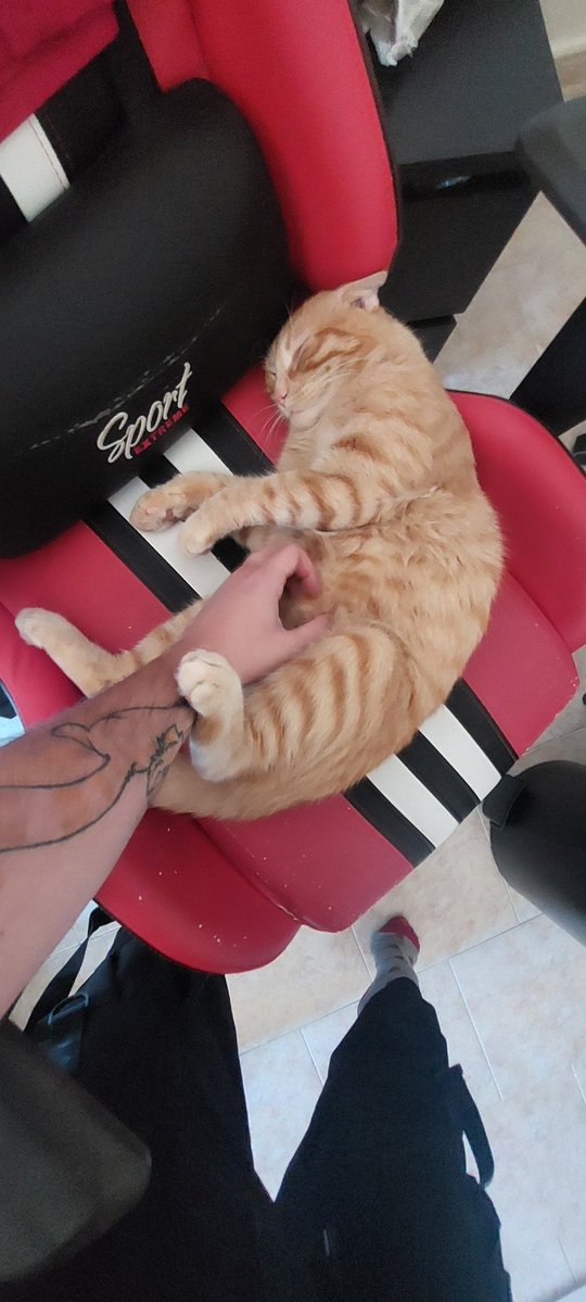 MatPaws's tweet image. Je crois que actuellement mon plus grand reve c'est que mon chat revienne en bonne santé ou que quelqu'un m'appelle disant qu'il l'a trouvé mort ou vif, j'ai besoin de savoir ce qu'il est devenu 

Mon bébé..