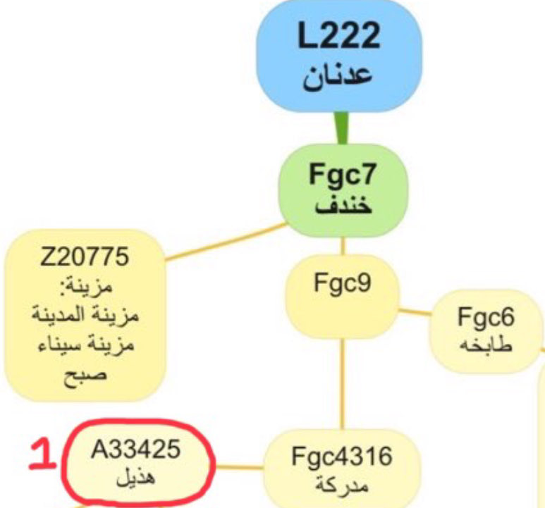 qpdbqbdb's tweet photo. سأسرد هنا في تغريدات منفصله التدليس الذي يكرره
بدايةً :
#الهيكلية العليا
1️⃣
📌
إذا كان FGC4316 هو #مدركه وكان FGC7 هو #الياس فمن يكون #FGC9
📌
إعتبر أن FGC6 (تحور غير موجود في الـ yfull ) يمثل #طابخه . ثم أسقط #مزينه على التحور z20775 و جعلها خارج #طابخه .
فكيف لتميم #الطابخيه أن تلتقي بمدركه قبل أن تلتقي بمزينه #الطابخيه .
📌
بإسقاطه #مزينه على #z20775 جعل مزينه اعلا فرعاً و عم جيني للتحور #FGC9 الذي تكتلت اسفله كما يزعم #طابخه و #مدركه
📌
جينياً بين #مدركه FGC4316 و بين #خندف FGC7 اكثر من 400 سنه . أي ان مدركه هو الحفيد الـ 13 تقريبا لخندف.
📌
اختلق التحورA33425 والذي لاوجود له في الـ yfull ليوحي أن هناك تحور جيني يجمع فرعي هذيل المرهّمه .
يتبع …