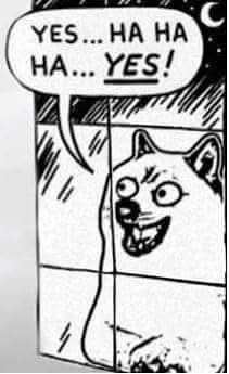 Maxter uwu tweet media