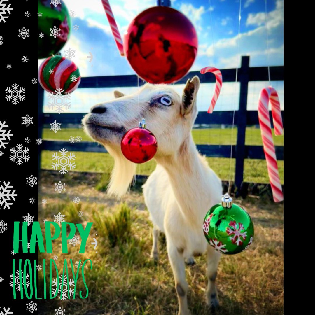 ARM Investigations tweet media