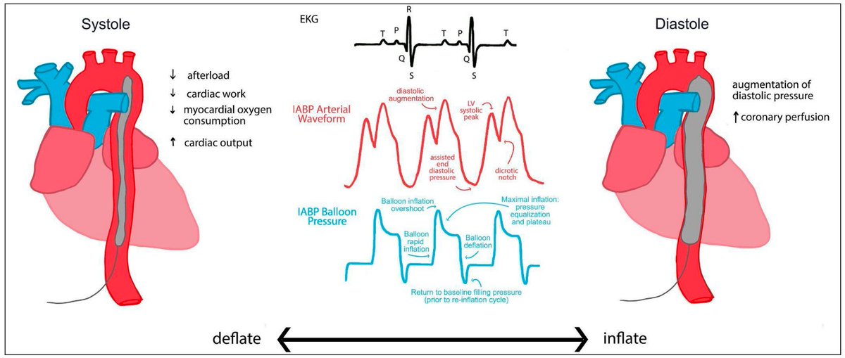 Critical Care Reviews tweet media