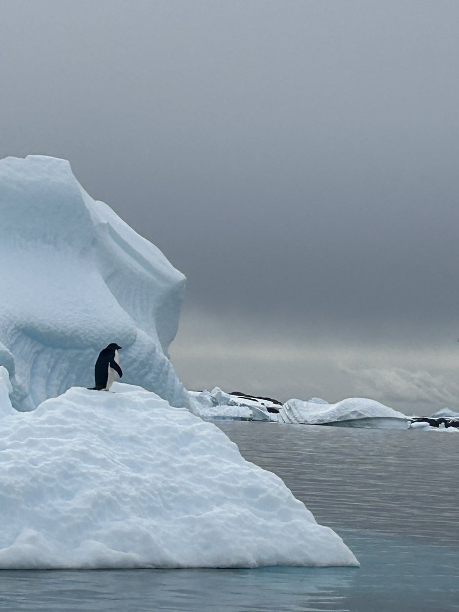 John A. Quelch tweet media