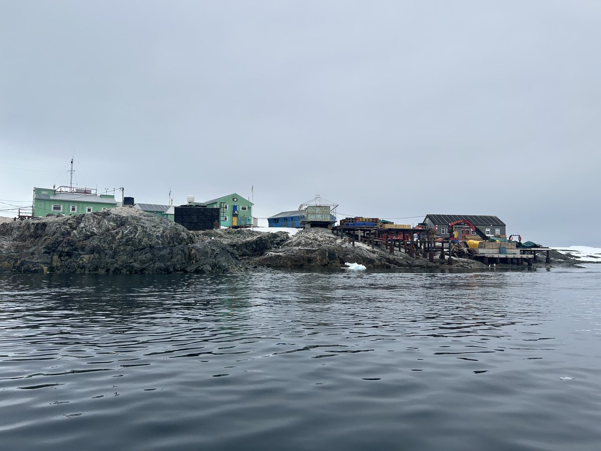 John A. Quelch tweet media