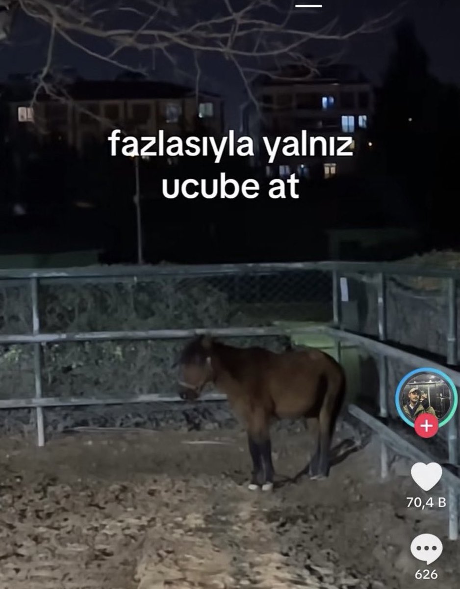 duştan sonra telefonda hic bildirim görmemenin verdigi hissiyat