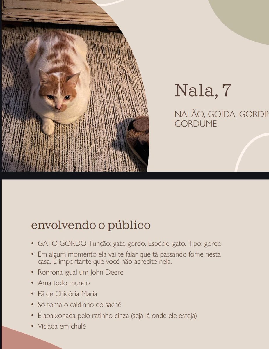 piscci's tweet image. Gosto de ser per sitter de gato pq os tutores são todos malucos
Eu recebi esse PDF aqui