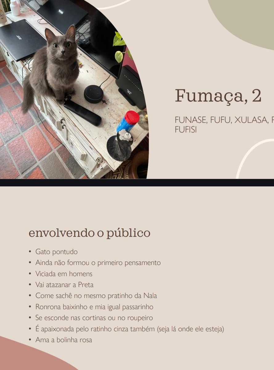 piscci's tweet image. Gosto de ser per sitter de gato pq os tutores são todos malucos
Eu recebi esse PDF aqui