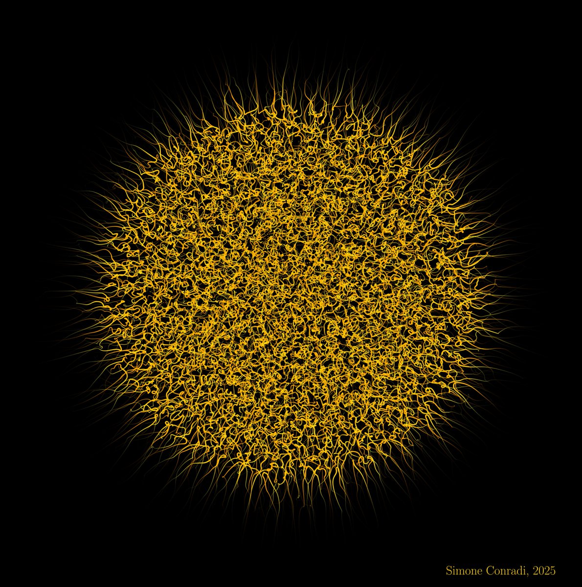 Simone Conradi tweet media