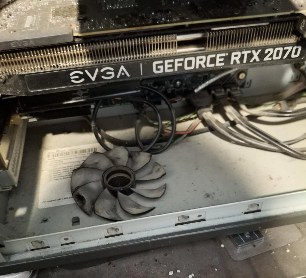 VideoCardz.com tweet media