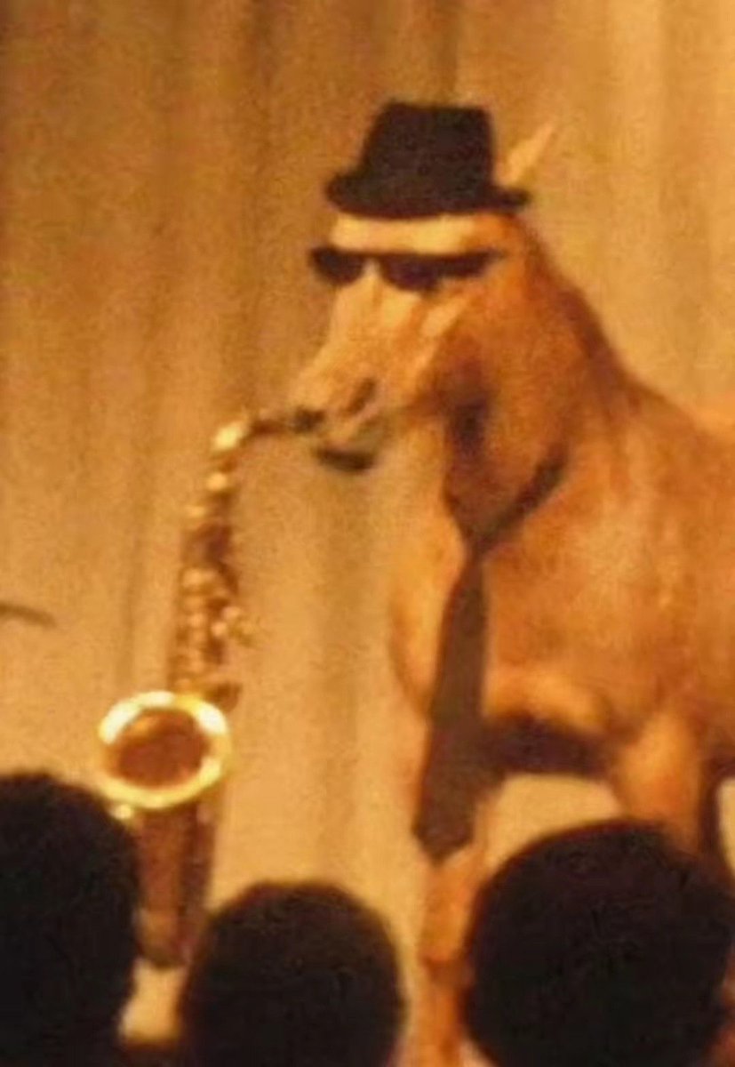 meme.jpg (@meme__jpg) on Twitter photo 