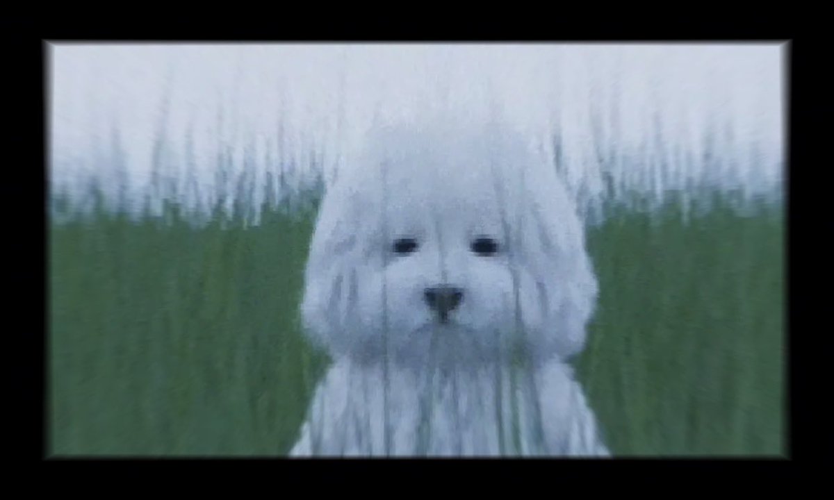 終活動画、自分史動画、ペット動画作成します。 終活動画、自分史動画、ペット動画作成します。