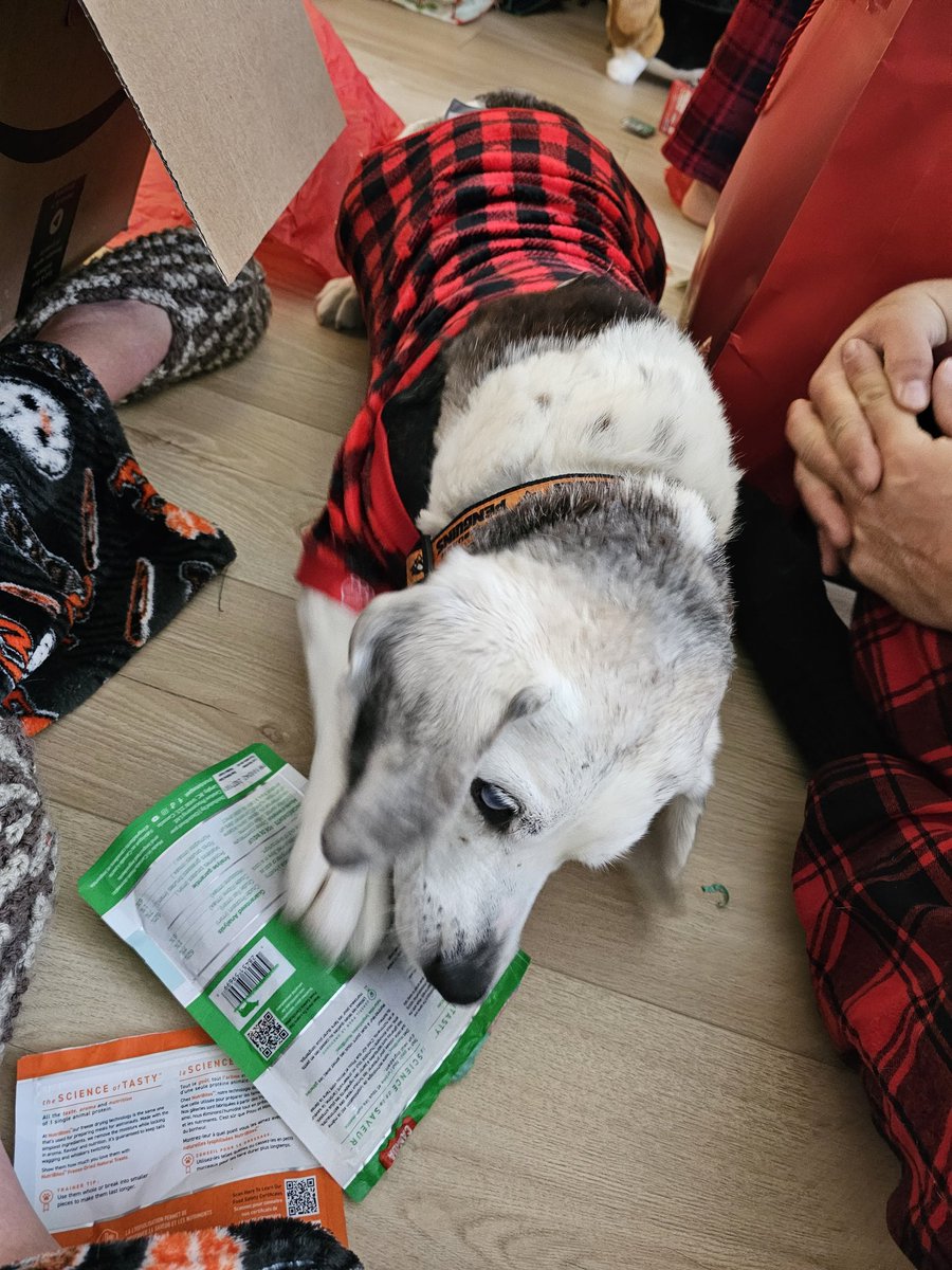 Sir Stanley Zbornak tweet media