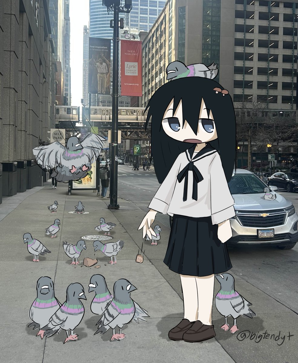 BigTendyT's tweet image. fed some pigeons