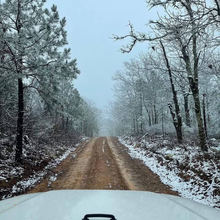 brokenbowdotcom's tweet photo. Winter is in full swing, and it’s bringing all the frosty vibes! Remember to bundle up, stay safe on icy roads, and check on your loved ones.
.
.
#brokenbow #brokenbowok #brokenbowoklahoma #hochatown #beaversbend #brokenbowcabins #travelok #travel #vacation #oklahoma
📷hochalife https://t.co/VNdri2brRv