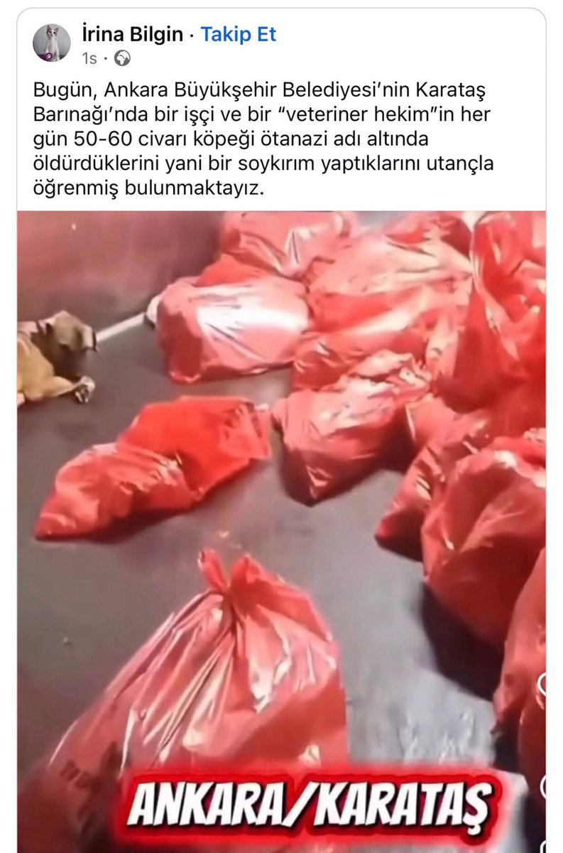 Sağlıklı hayvanlara uyuşturucu vererek, poşetlere doldurup havasız kalarak ölmelerini bekliyorlar..

Dışarıda duran masum da, can havliyle dışarı kaçmış, fakat o da ölmüş..,

Bu kadar cani olacak kadar ne yaşadınız siz ?
Siz mi bu ülkeye hak,hukuk ve adalet getireceksiniz ?