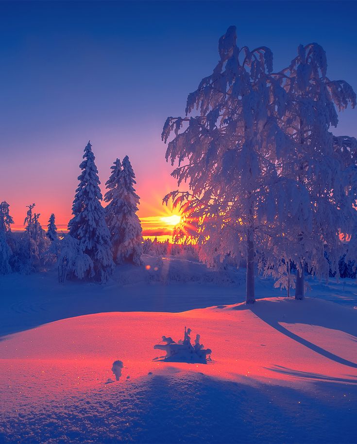 Winter sunset! ❄️ ☀️

#winterbeauty #NaturePhotography