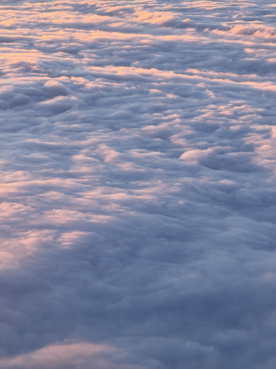 _Tppl1's tweet photo. today i walked above the clouds in the French Alps https://t.co/BJTuzxTCPL