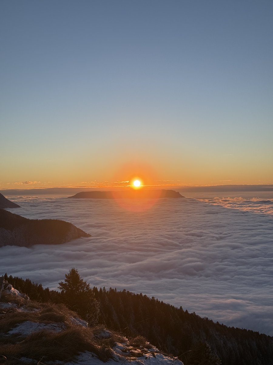 _Tppl1's tweet photo. today i walked above the clouds in the French Alps https://t.co/BJTuzxTCPL